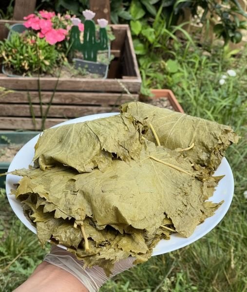 Salamura Yaprak Net 3,20 Kg