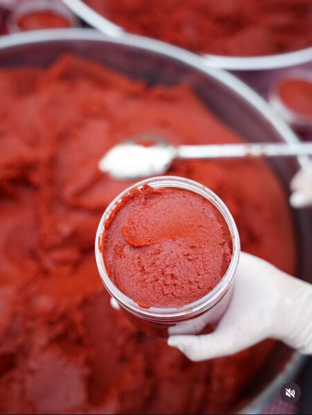 Domates Salçası Yeni Sezon 2 kg