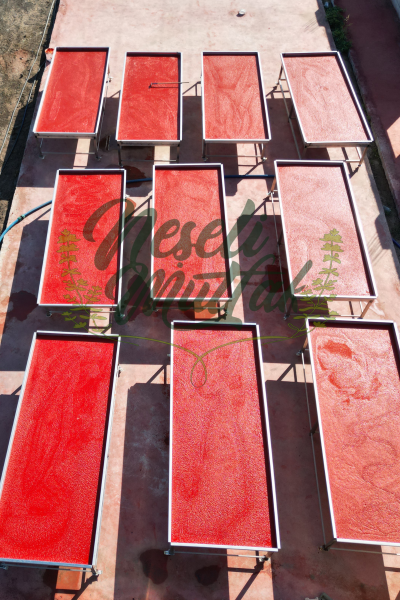 Yeni Sezon Biber Salçası Acı 1 Kg