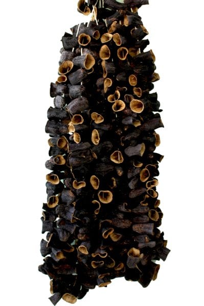 Kuru Dolmalık Patlıcan 50 Adet