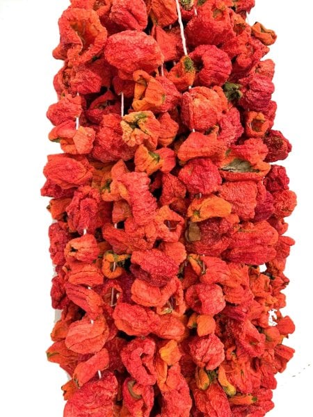 Kuru Dolmalık Biber ( Acı ) 50 Adet