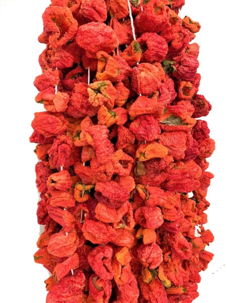 Kuru Dolmalık Biber ( Tatlı ) 50 Adet