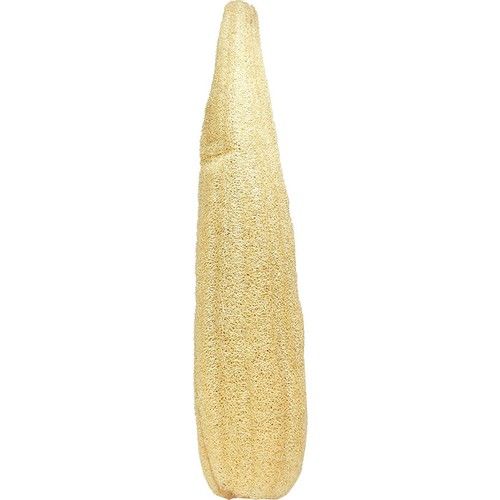 Doğal Kabak Lifi ~55 cm