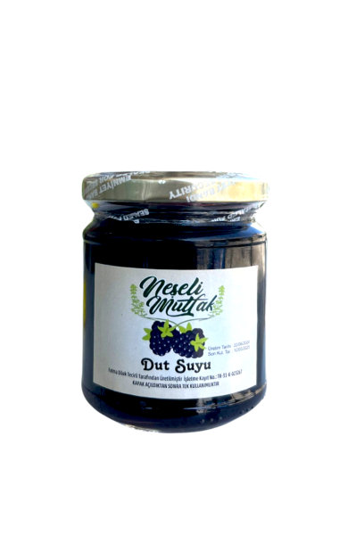 Karadut Suyu 210 ML