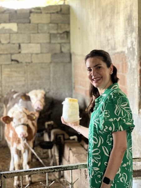 Yerli İnek Peynir 1 Kg